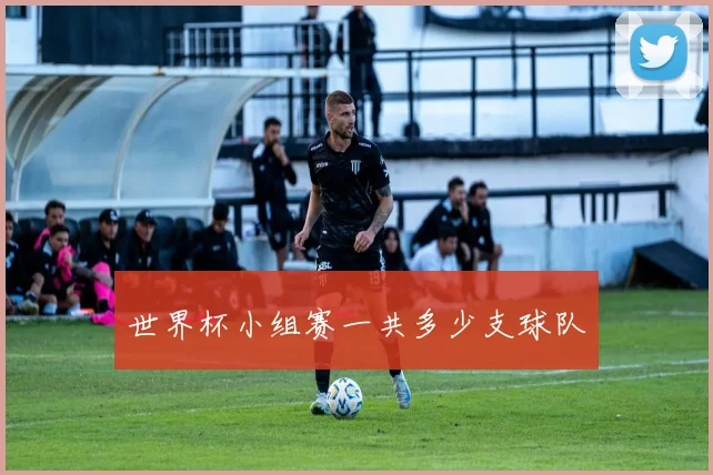 世界杯小组赛一共多少支球队
