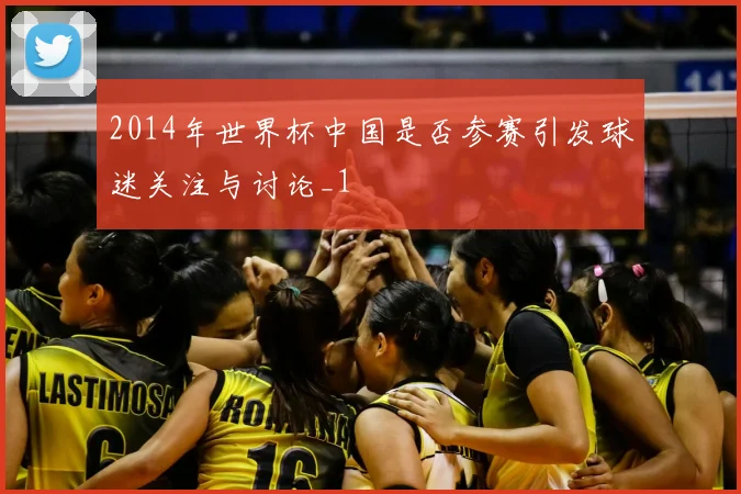 2014年世界杯中国是否参赛引发球迷关注与讨论_1